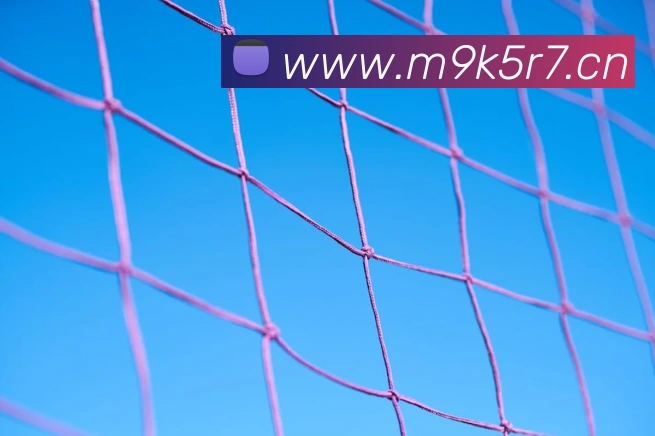 星空官网首页入口平台生态图